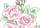 floral-001 5x7